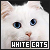  White Cats: 